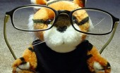 professor professor