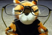 professor