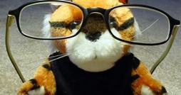 professor