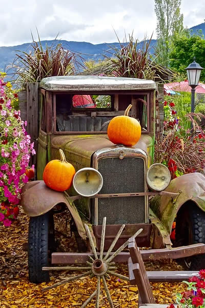 fall decor