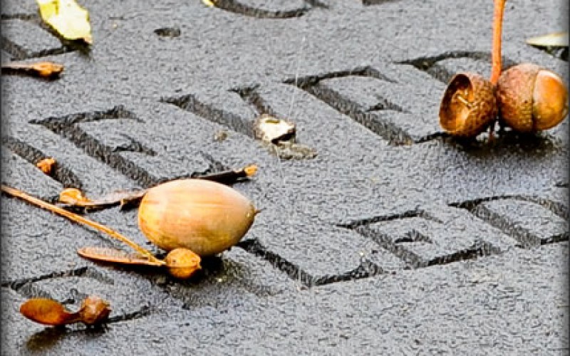 Should Penn State Football Receive the Death Penalty?