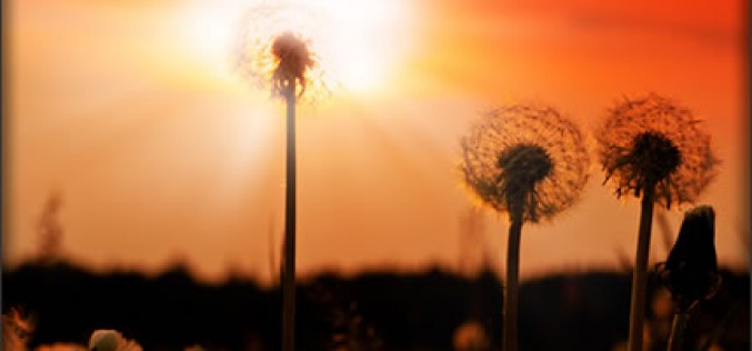 How to Make the Most of the Fading Days of Summer