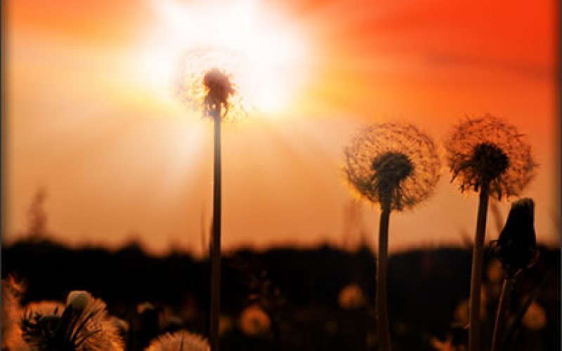 How to Make the Most of the Fading Days of Summer