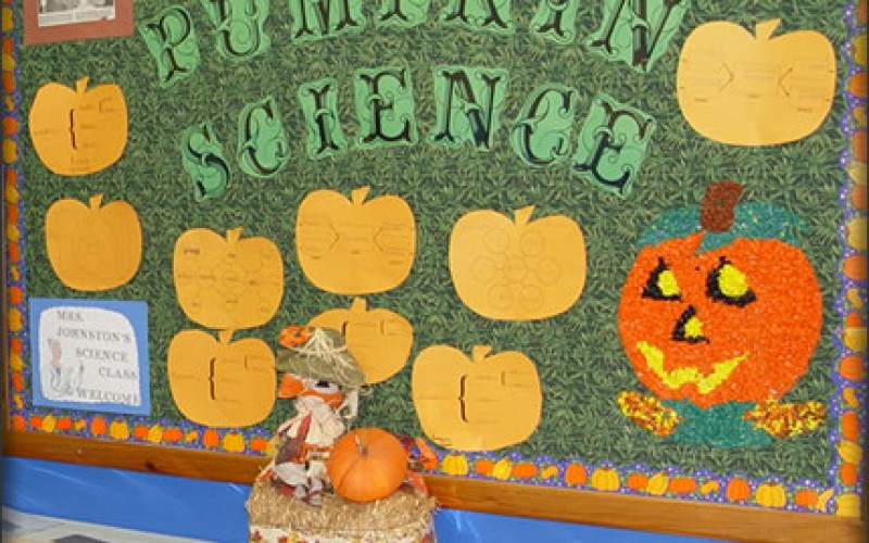 The Average Salary of Elementary Education Teachers