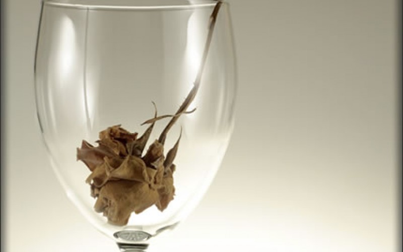 5 Highly Unusual College Majors