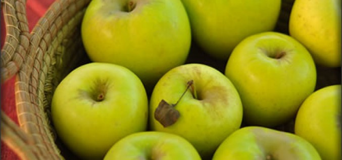 College Gift Basket Ideas and Tips