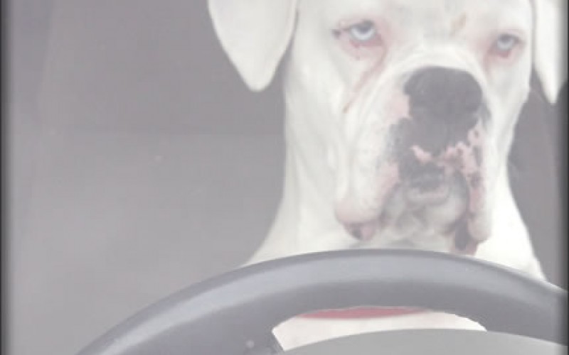 4 Driving Tips for College Students at Winter Break