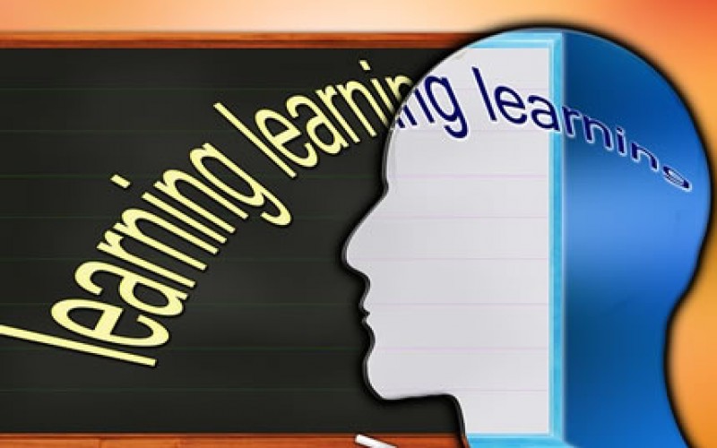 These Colleges Are Still Looking for Freshmen and Transfer Students