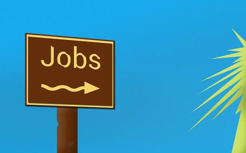 Summer Job Ideas for College Students