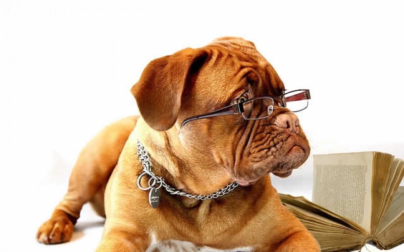 A List of 15 of the Most Helpful Online Research Resources