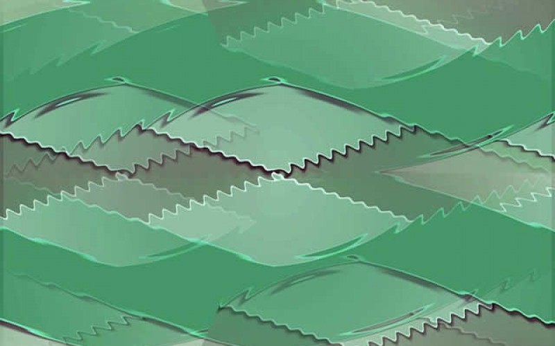 College Tours: They’re all Virtual Now