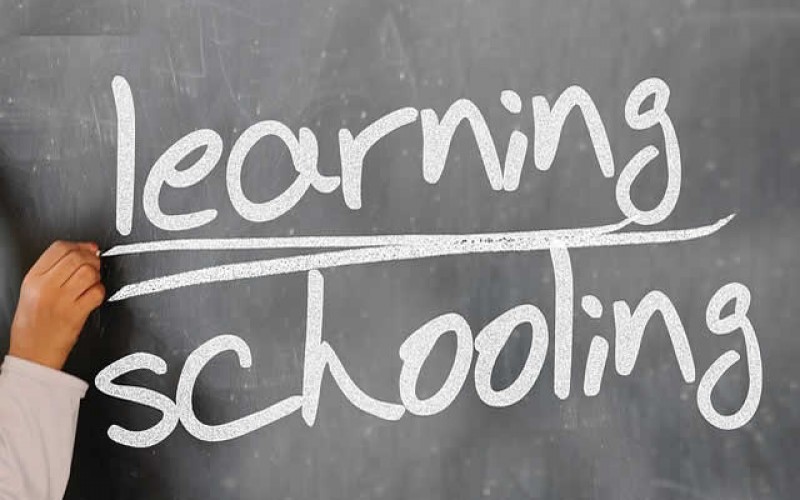 How to Approach Learning and Studying in College