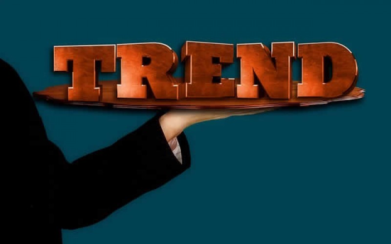 What Degree is Hot and What’s Not?