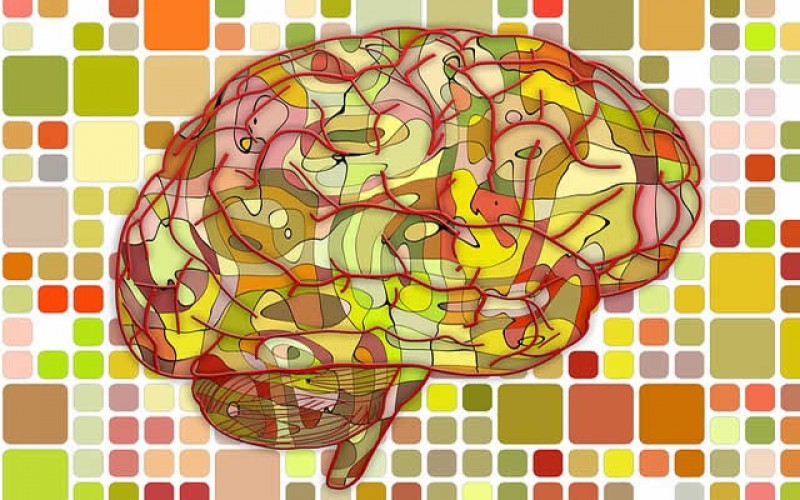 7 Amazing Tricks to Get More Out of Brain Health