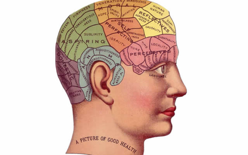 What You Should Do to Keep Your Brain Healthy?