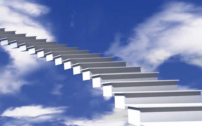 Career Planning: Steps and the Way Forward