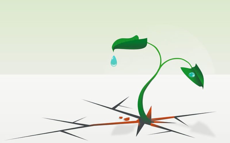 How to Survive College: Top 6 Strategies