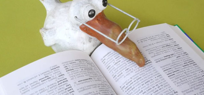 What Are the Top Skills Employers Are Looking for When Hiring Paralegals