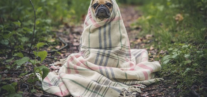 7 Key Safety Tips Every College Student Should Be Aware Of