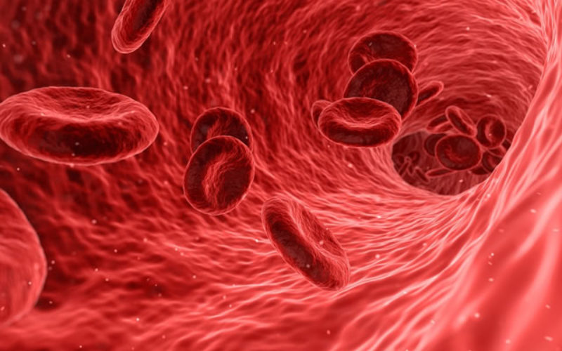 Is Endovascular Surgery The Medical Path For You?