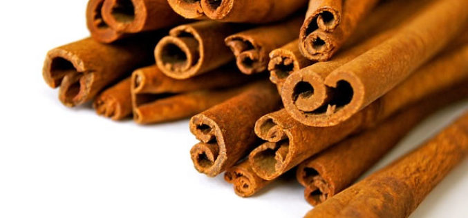 How To Keep Your College Room Smelling Amazing Naturally and Affordably