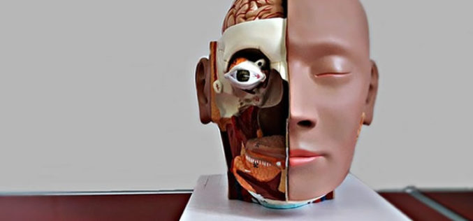 Educated Student: 4 Assorted Career Paths for Med Majors