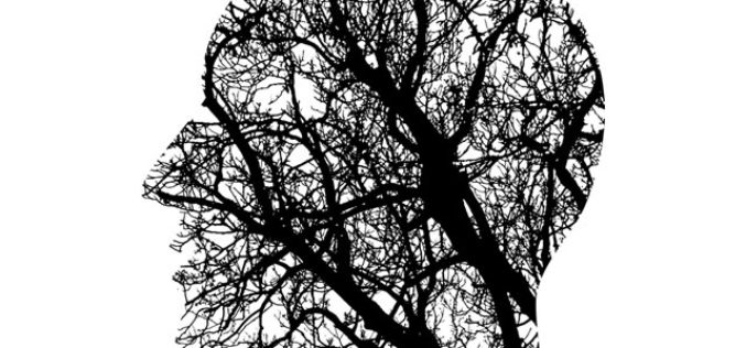 Keeping Doors Open – 6 University Degrees That Allow For Branching Career Paths