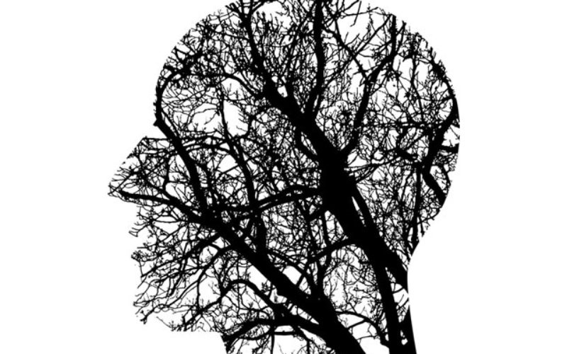 Keeping Doors Open – 6 University Degrees That Allow For Branching Career Paths