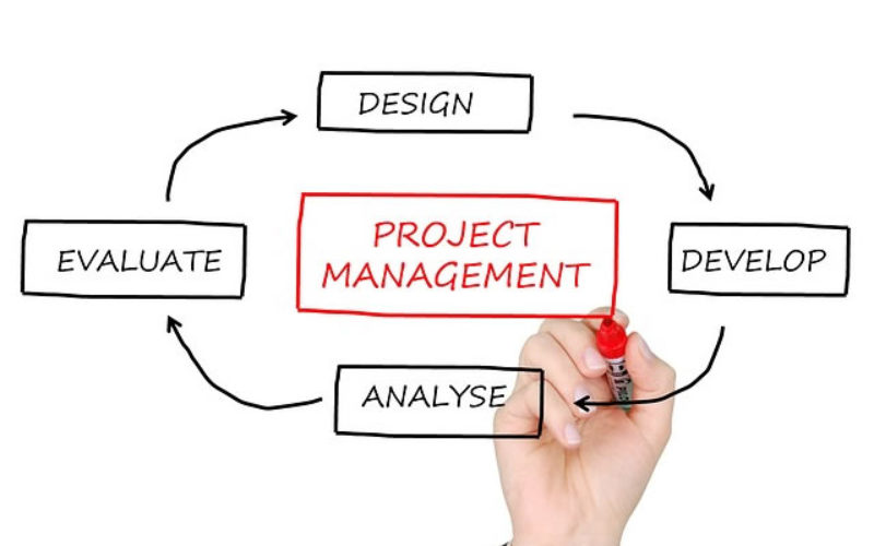 Career Profile: Project Manager