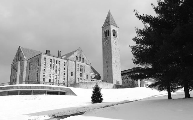 What will the College Landscape in 2025 Look Like?