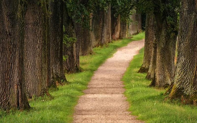 Key Factors To Consider When Choosing Your Study Path