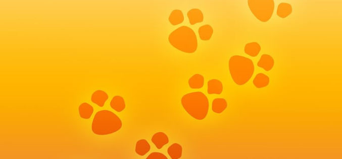 The Ultimate Dog Lover’s Pet Guide for College Students! (Part 2/2)