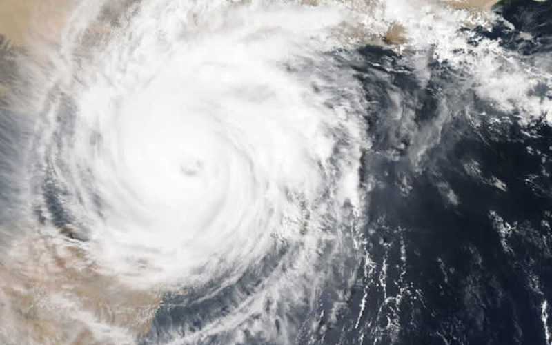 Basic Knowledge on How to Survive a Natural Disaster