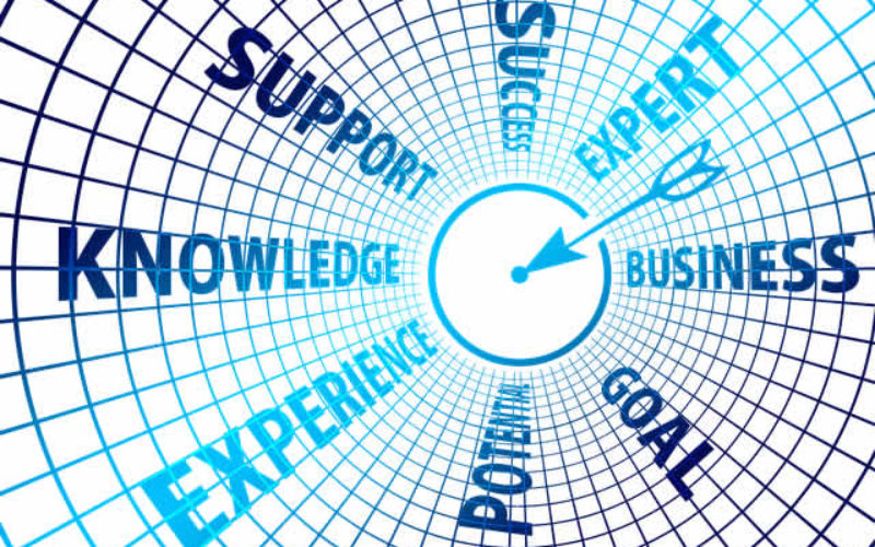 Top 5 Life Skills to Learn in College