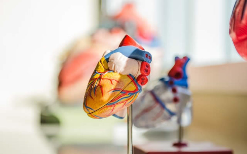 3 Med School Acceptance Tips Future Doctors Need To Know