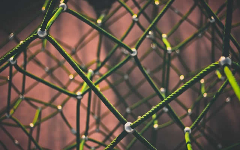 The Importance of College Networking and Campus Involvement