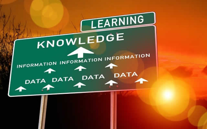 How to Improve Your Chances of Winning College Scholarships
