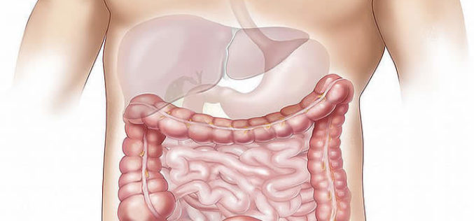 10 Liver-Protecting Foods And Drinks Every Student Should Consume