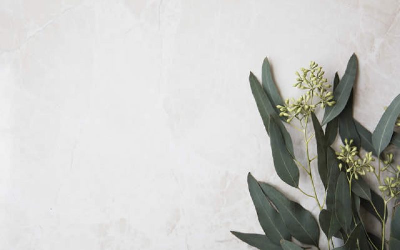 Choosing Holistic Approach For Education, What To Expect