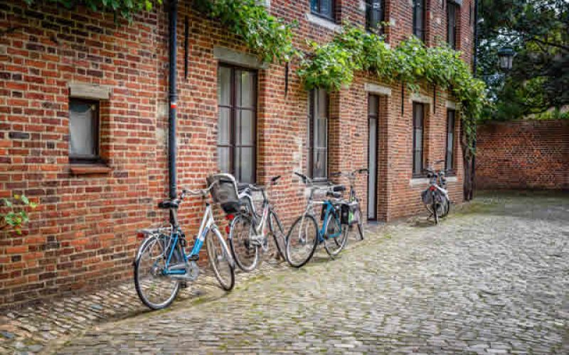 Choosing Student Housing, Here’s What You Need To Consider