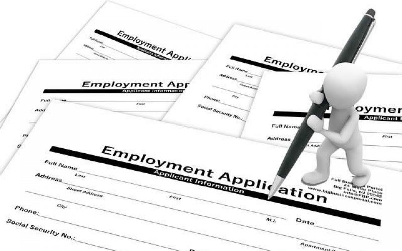 Job Hunting Tips for Graduating Seniors