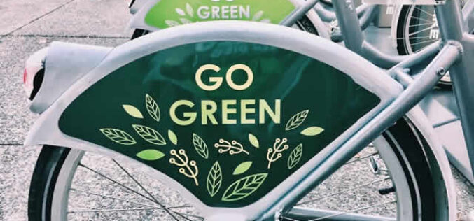 5 Things You Can Do to Make Your Campus Greener