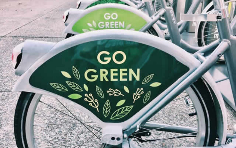 5 Things You Can Do to Make Your Campus Greener