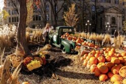 Great Tips For Planning a School Fall Festival