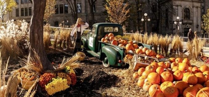 Great Tips For Planning a School Fall Festival