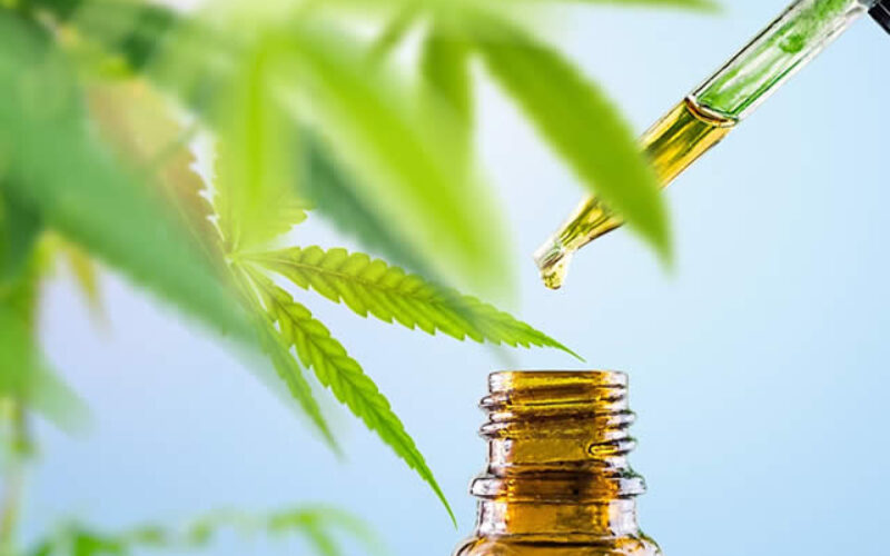 The Importance of Consumer Education in the Cannabis Industry