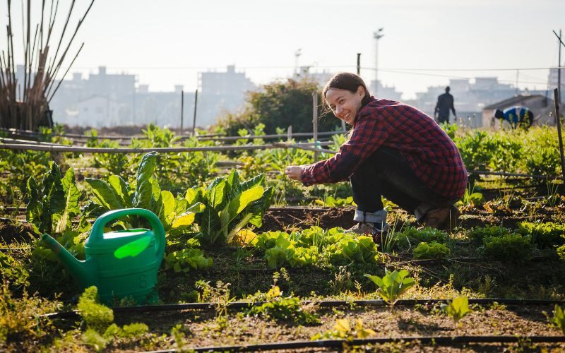 Amenities Your College Campus Needs To Have