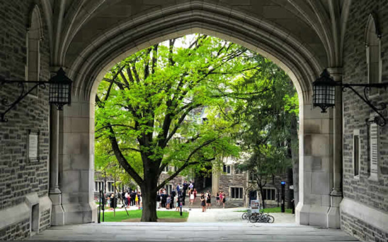 Top 10 Colleges in New Jersey