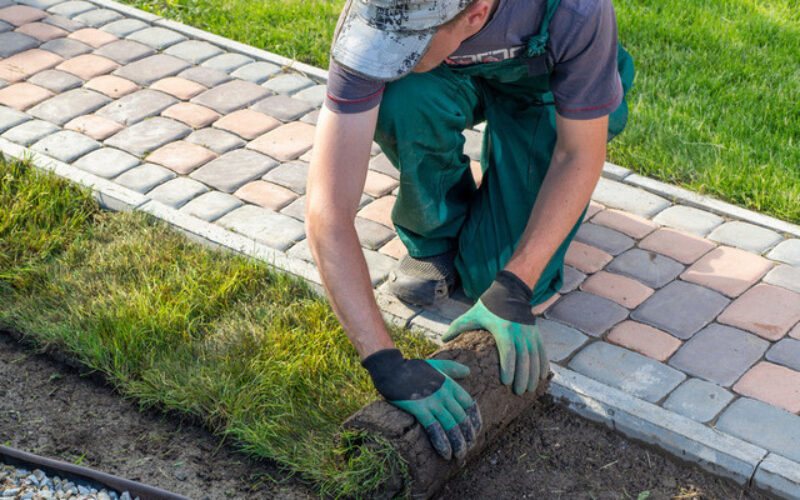 Landscaping Business 101: What You Need To Get Started