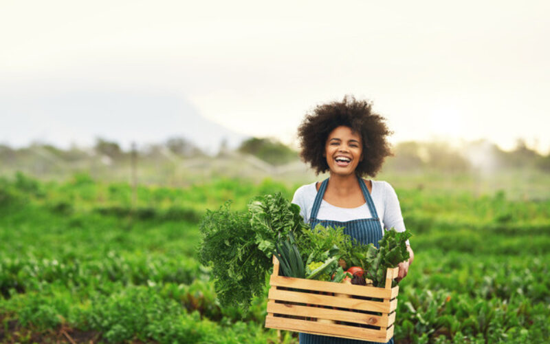 Important Tips for Pursuing a Career in Farming